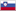 Bandera de ESL