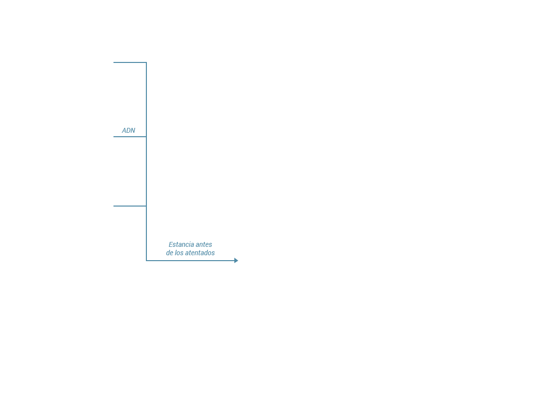 t01 t02 t03 v04 Schaerbeek (Barrio de Bruselas)