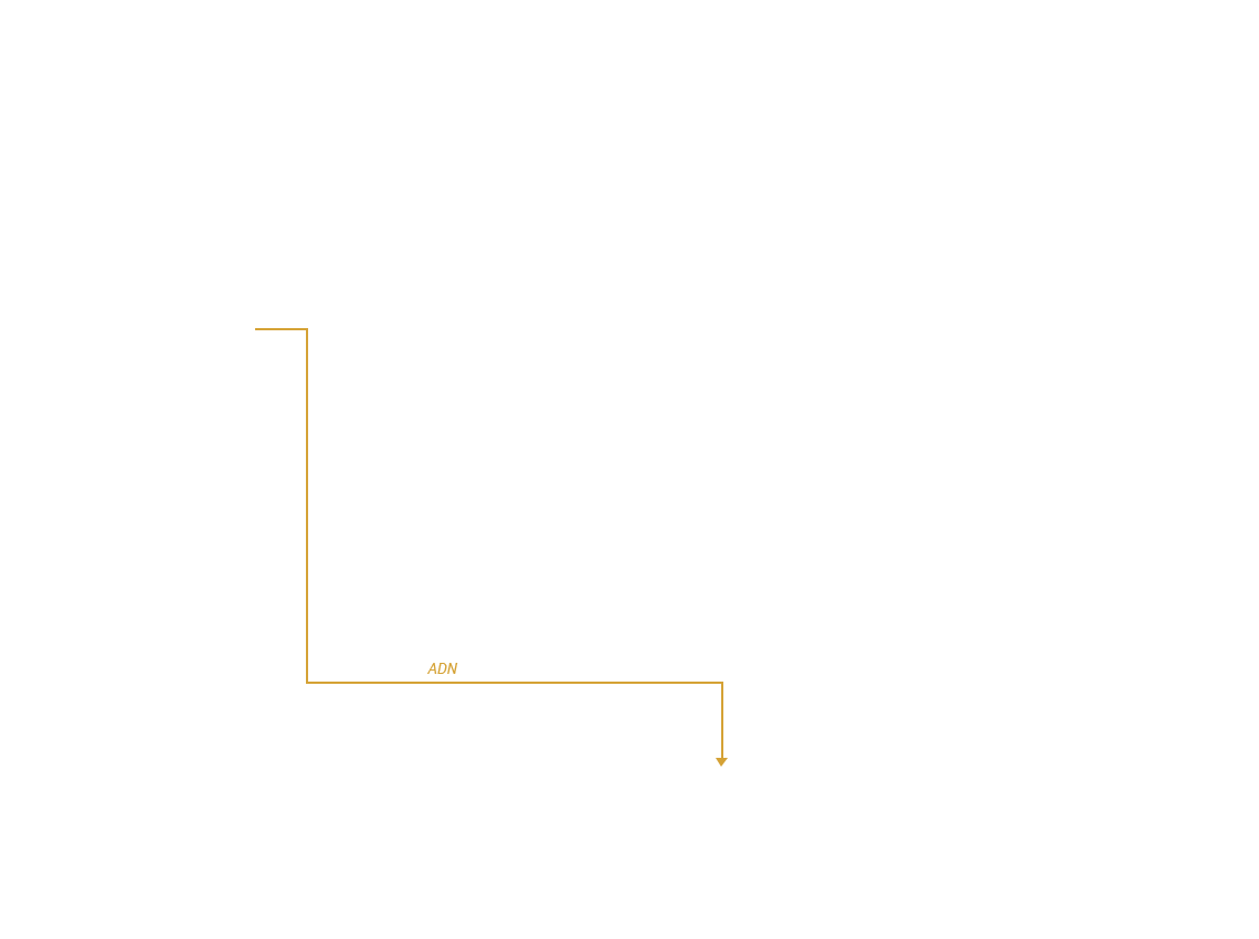 t02 t05 t06 t07 t08 Schaerbeek (Barrio de Bruselas)