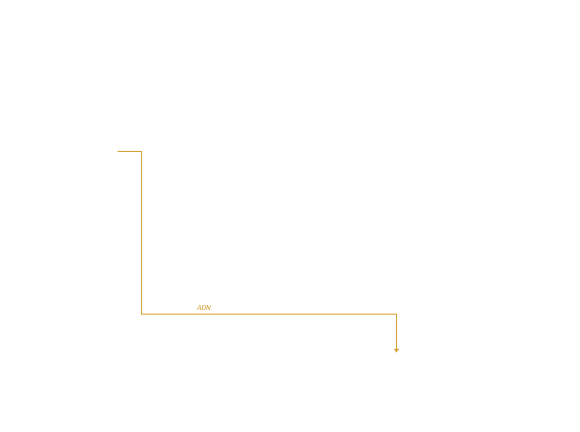 t02 t05 t09 t10 t11 Schaerbeek (Barrio de Bruselas)