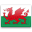 Escudo del equipo 'Gales'