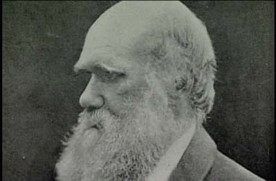 http://www.rtve.es/files/74-124423-FOTO_NOTA_PRENSA_399/darwin_viejo_1.CORTADA.jpg