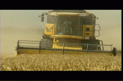 BIOCOMBUSTIBLES: LA  SEMILLAS DE LA DISCORDIA    (2009)