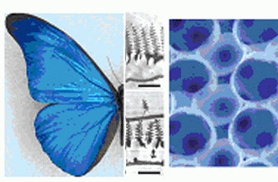 Imagen en Vanguardiia de la Ciencia