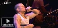 Calle 13, concierto y entrevista en 'No disparen...'