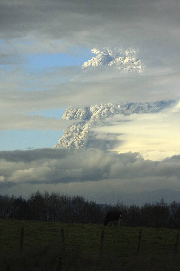 El Puyehue, de unos 2.240 metros de altura, está ubicado en la Cordillera de Los Andes y su última erupción se registró en 1960.
