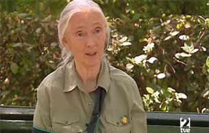 Ver vídeo 'Entrevista a Jane Goodall'