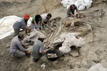 Un grupo de paleontólogos trabaja en el yacimiento arqueológico de Morella, Castellón.