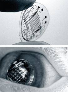 El futuro del ojo biónico