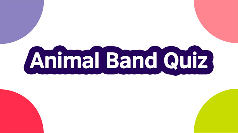 Animal Band Quiz