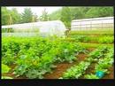 Video: Terra Verda - Productes Eco